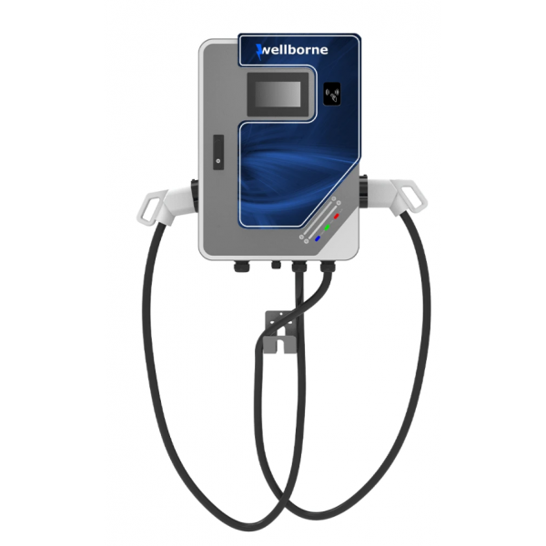 IRVE, Bornes de recharge, Bornes DC, Borne 2 sorties DC 80kW Type CCS